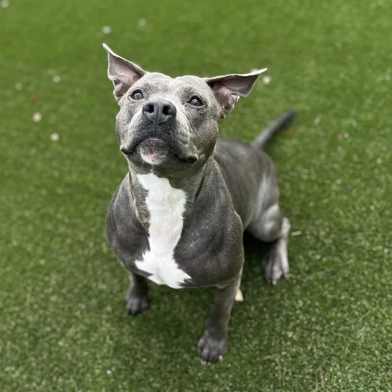 Killian Aka Gracie thumbnail 3