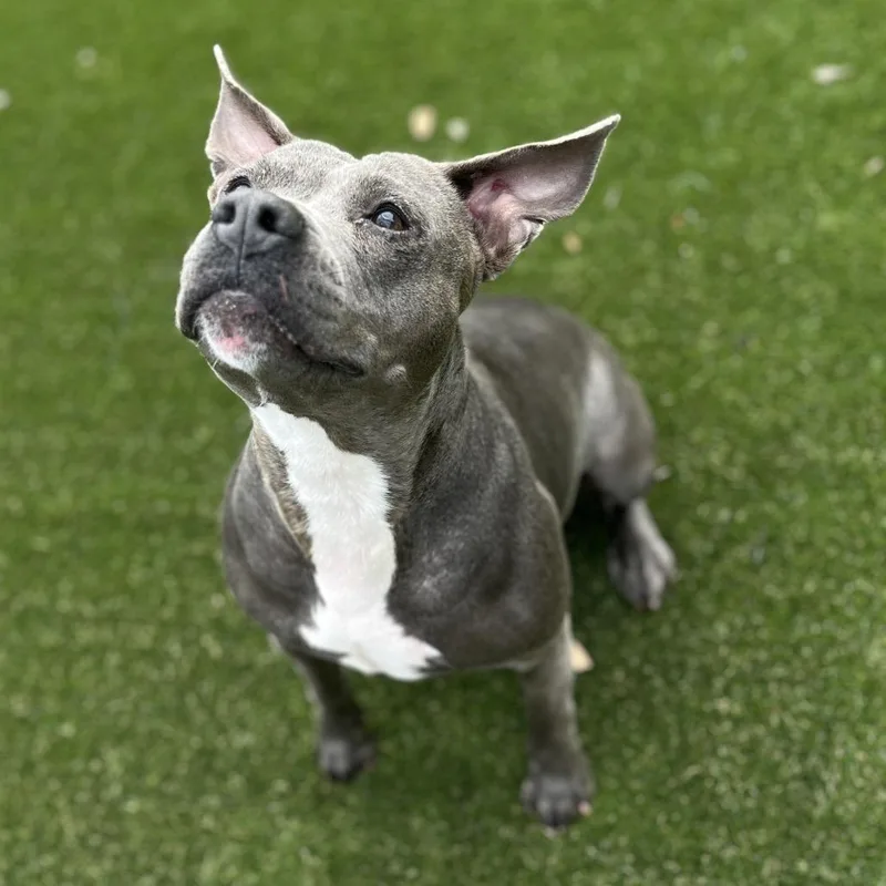 Killian Aka Gracie thumbnail 4