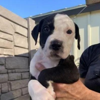 Philip Aka Clyde thumbnail 2