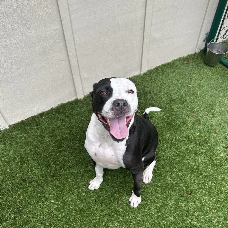 Philip Aka Clyde thumbnail 3