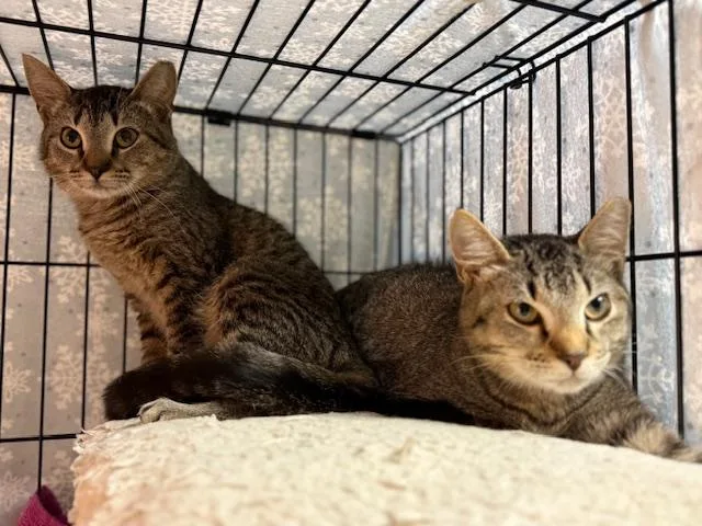 Miley Cyrus thumbnail 6