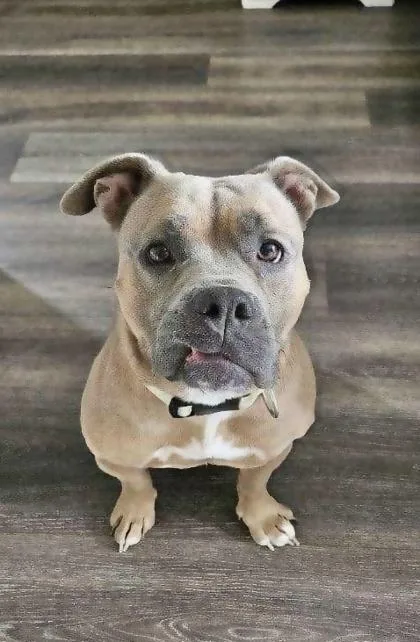 Gracie Lynn thumbnail 2