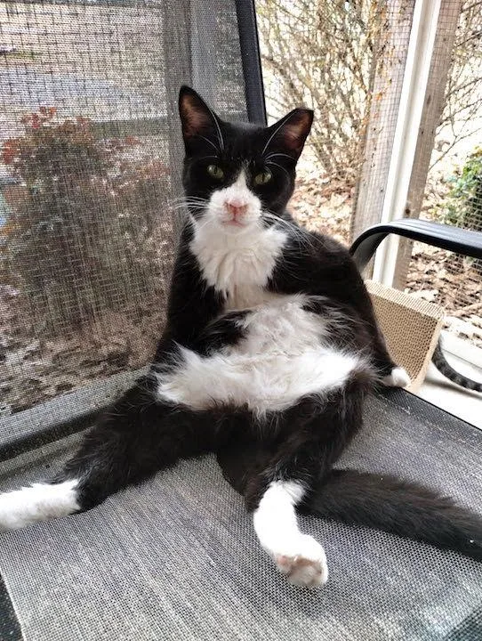 Haymitch thumbnail 2