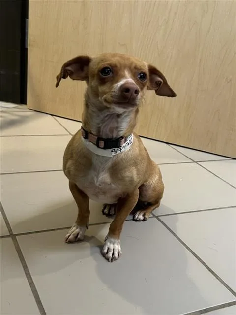 Winnie