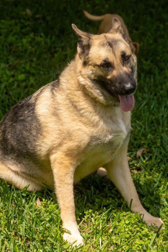 Axel
