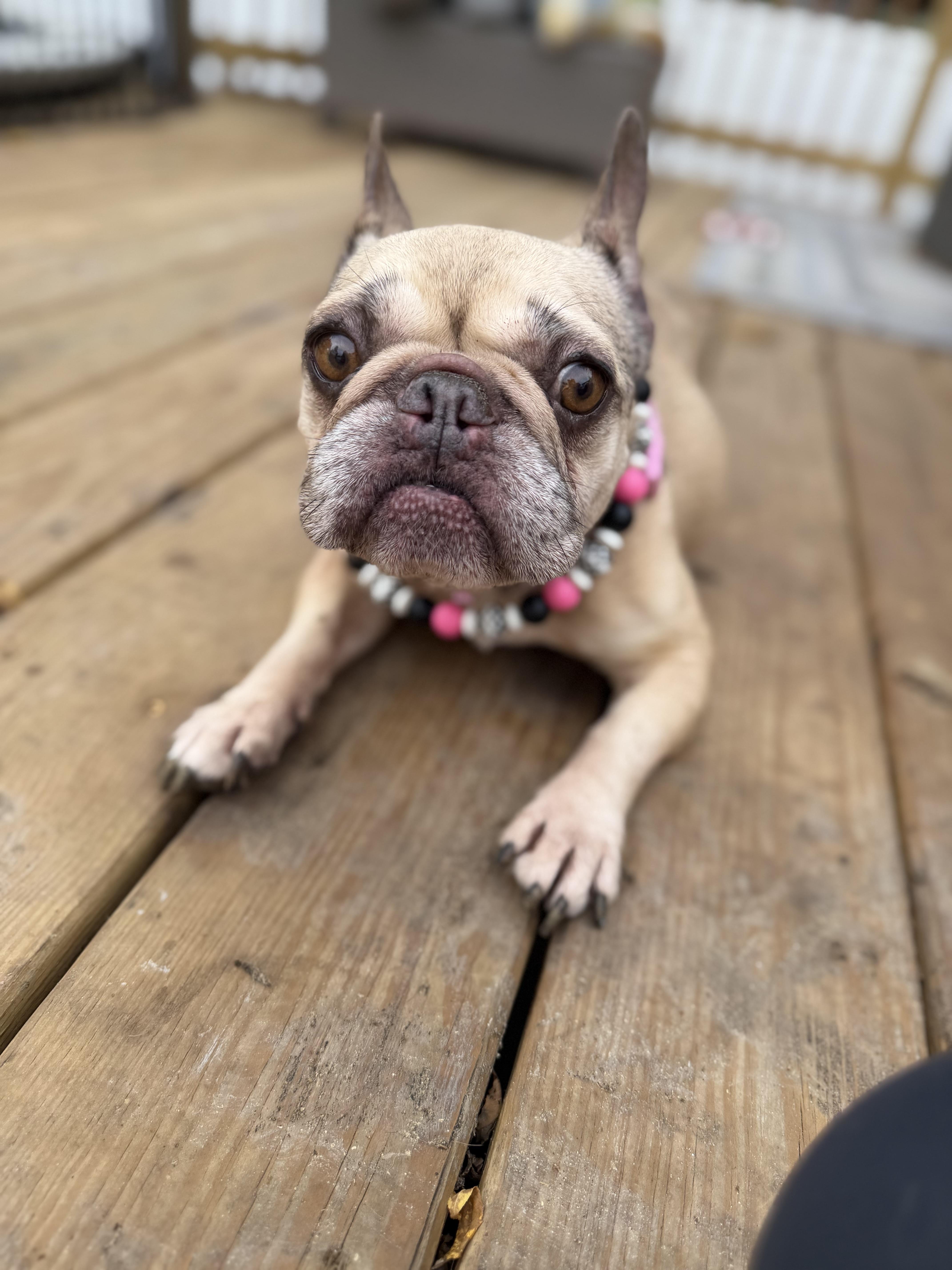 Penny