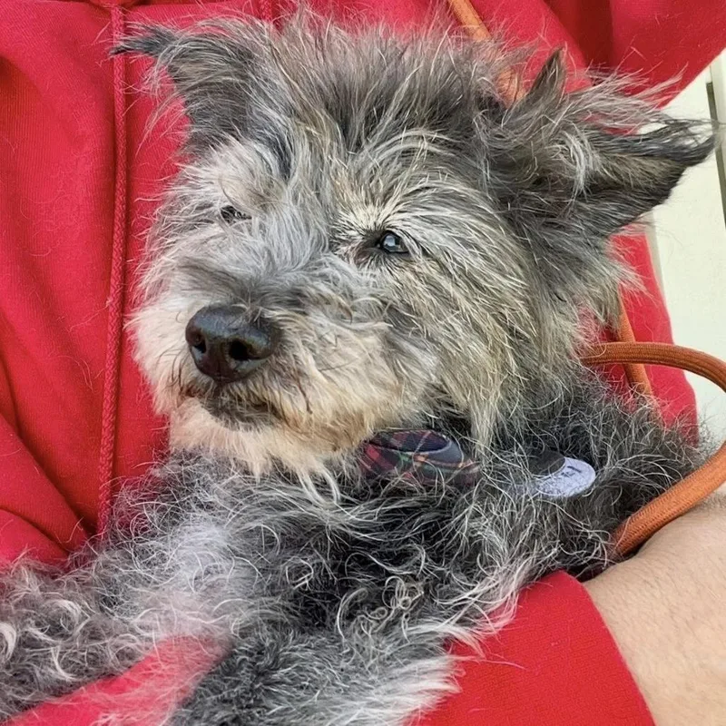 Max Marvel thumbnail 2