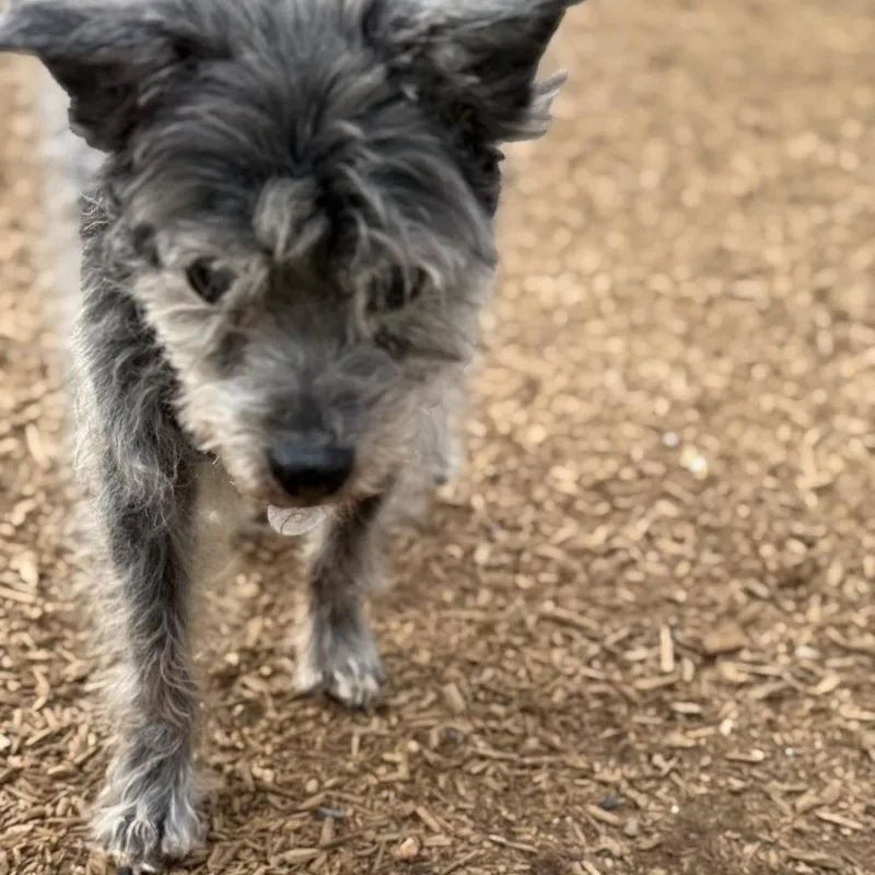 Max Marvel thumbnail 3