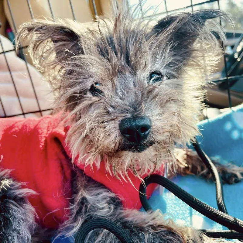 Max Marvel thumbnail 4