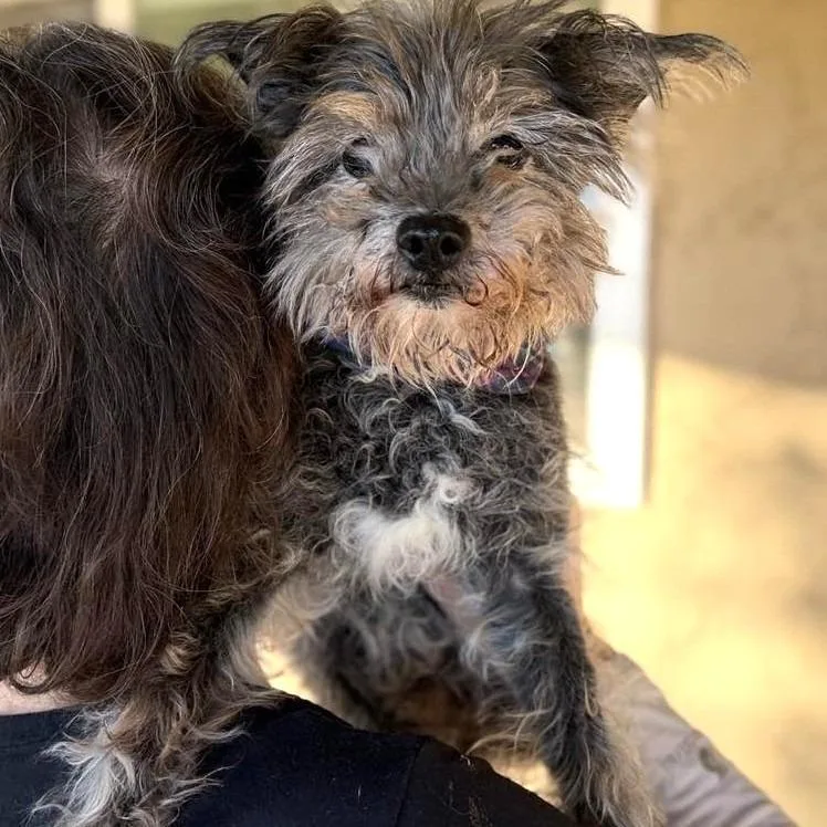 Max Marvel thumbnail 5