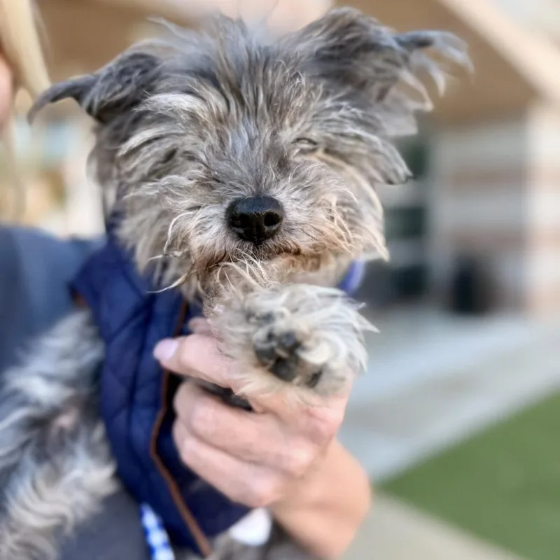 Max Marvel thumbnail 6