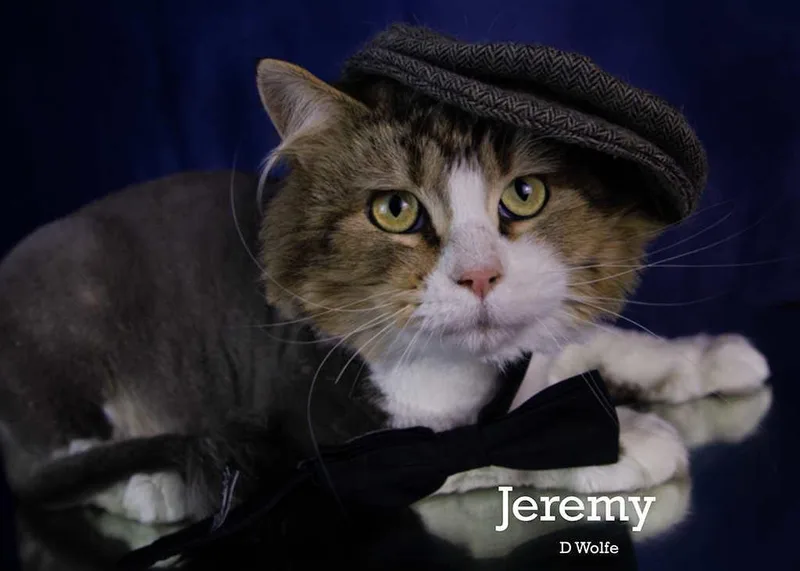 Jeremy thumbnail 2