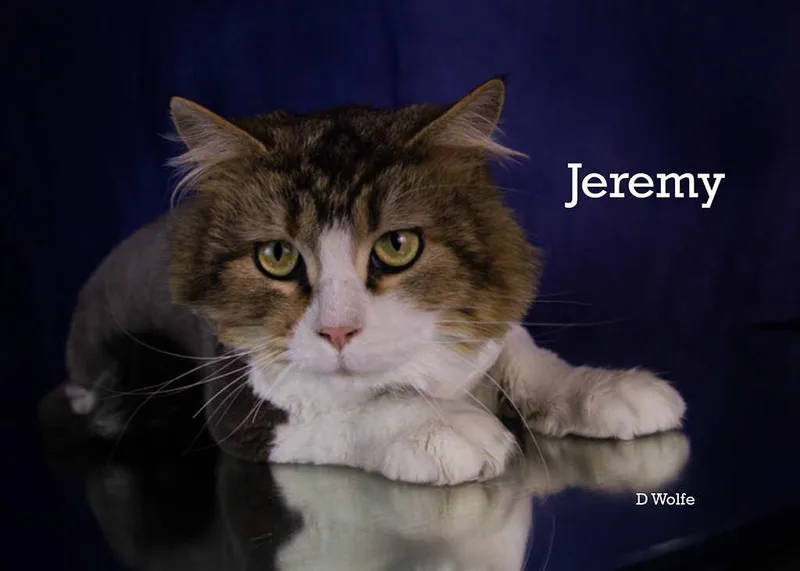 Jeremy thumbnail 4
