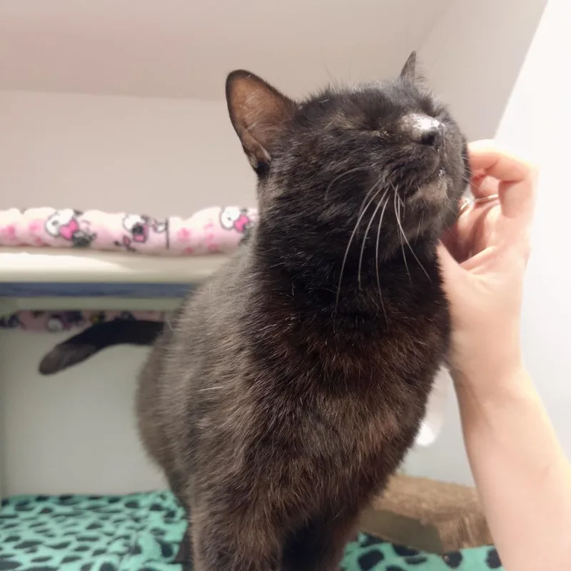 Minnie thumbnail 4