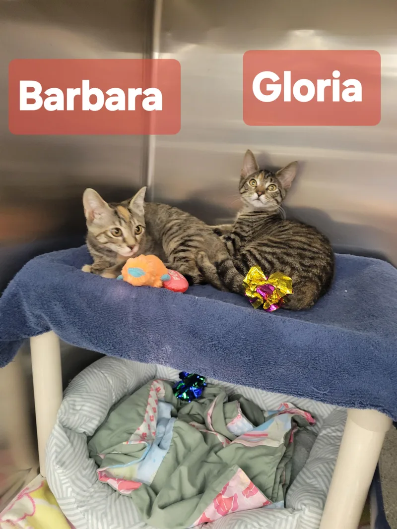 Barbara & Gloria