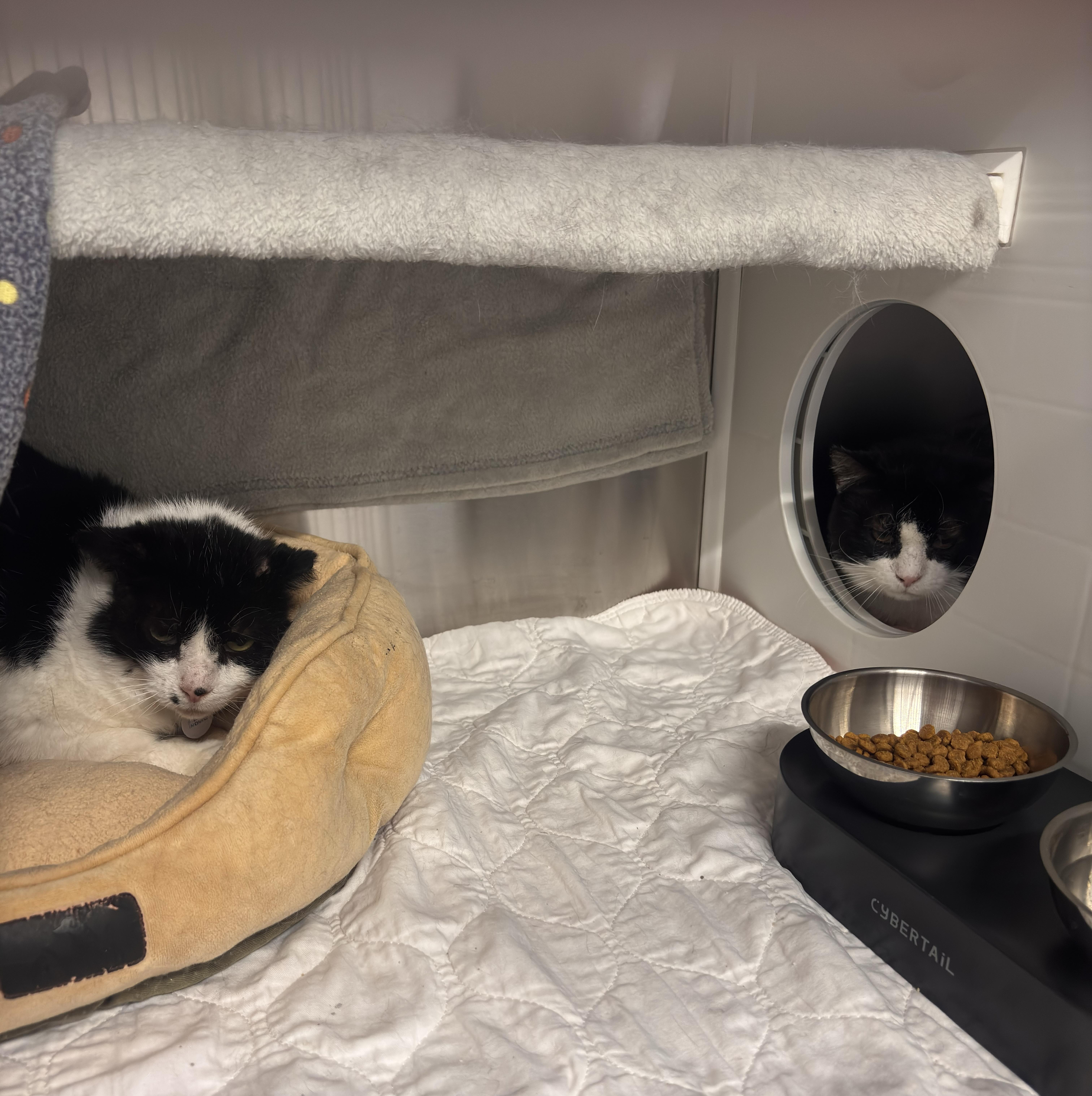 Pointdexter thumbnail 3