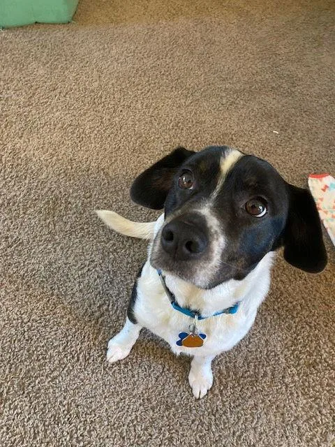 Connolly thumbnail 3