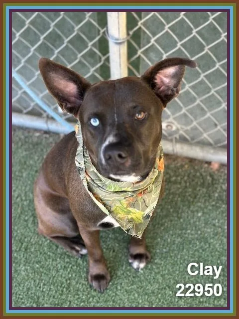 Clay thumbnail 3