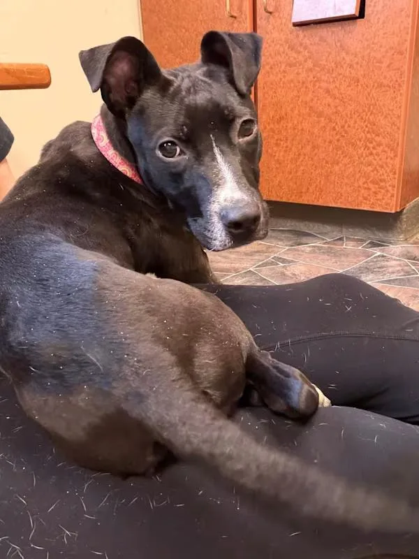 Minestrone thumbnail 2