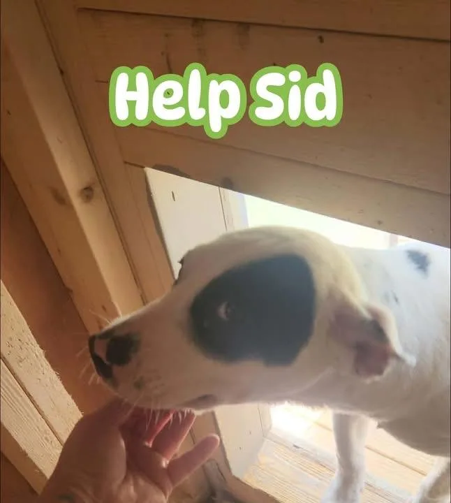 Sid