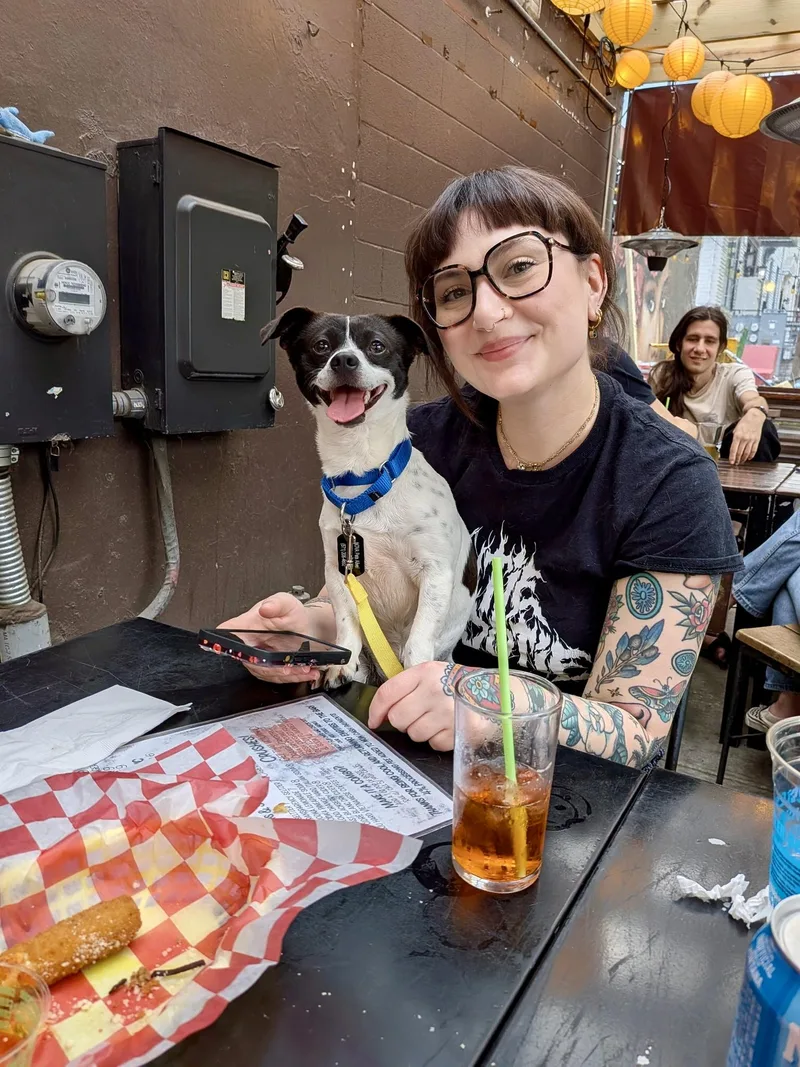 An adult small-sized male White / Cream Boston Terrier dog named Rooster for adoption in Fairfax, VA