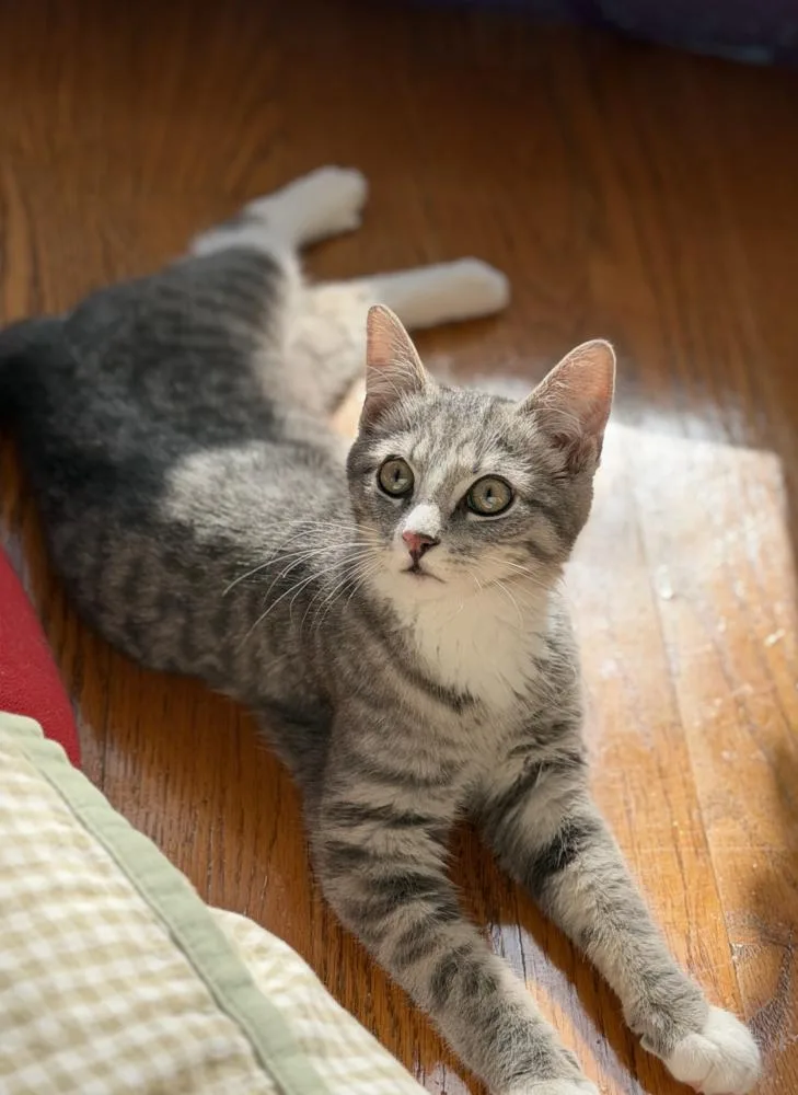 Paulo And Rio thumbnail 4