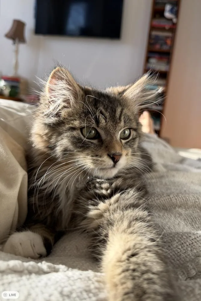 Paulo And Rio thumbnail 5