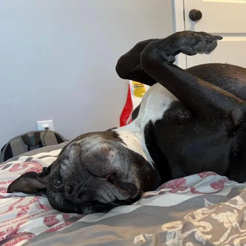 Espresso thumbnail 3