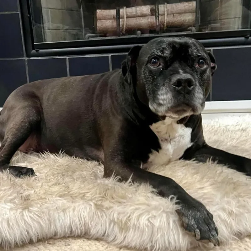 Espresso thumbnail 4