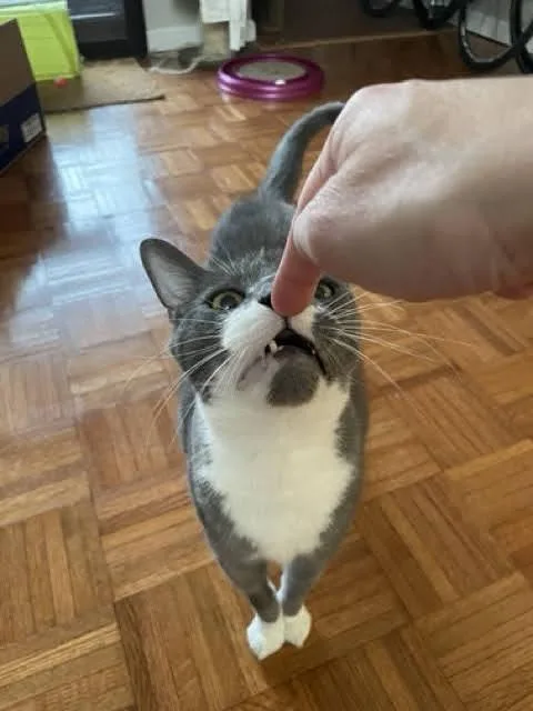 Sou South thumbnail 2