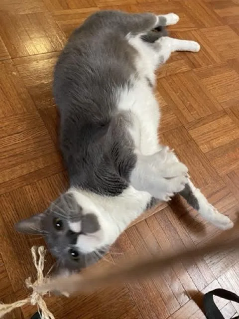 Sou South thumbnail 3