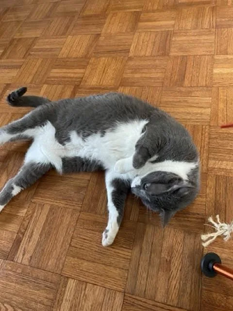 Sou South thumbnail 4