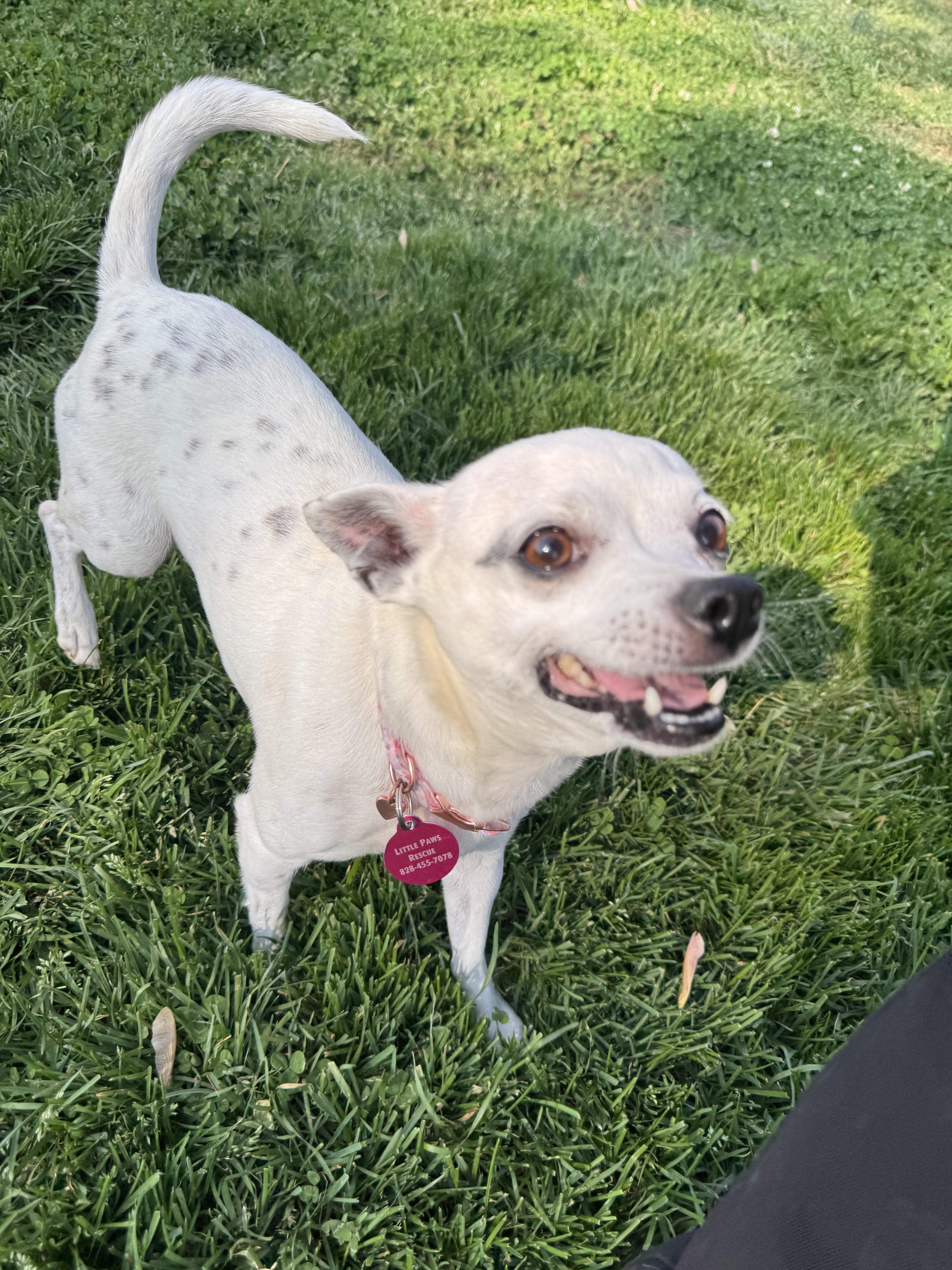 Kira & Jazz thumbnail 2