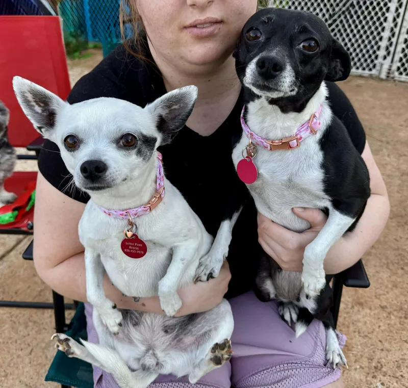 Kira & Jazz thumbnail 3