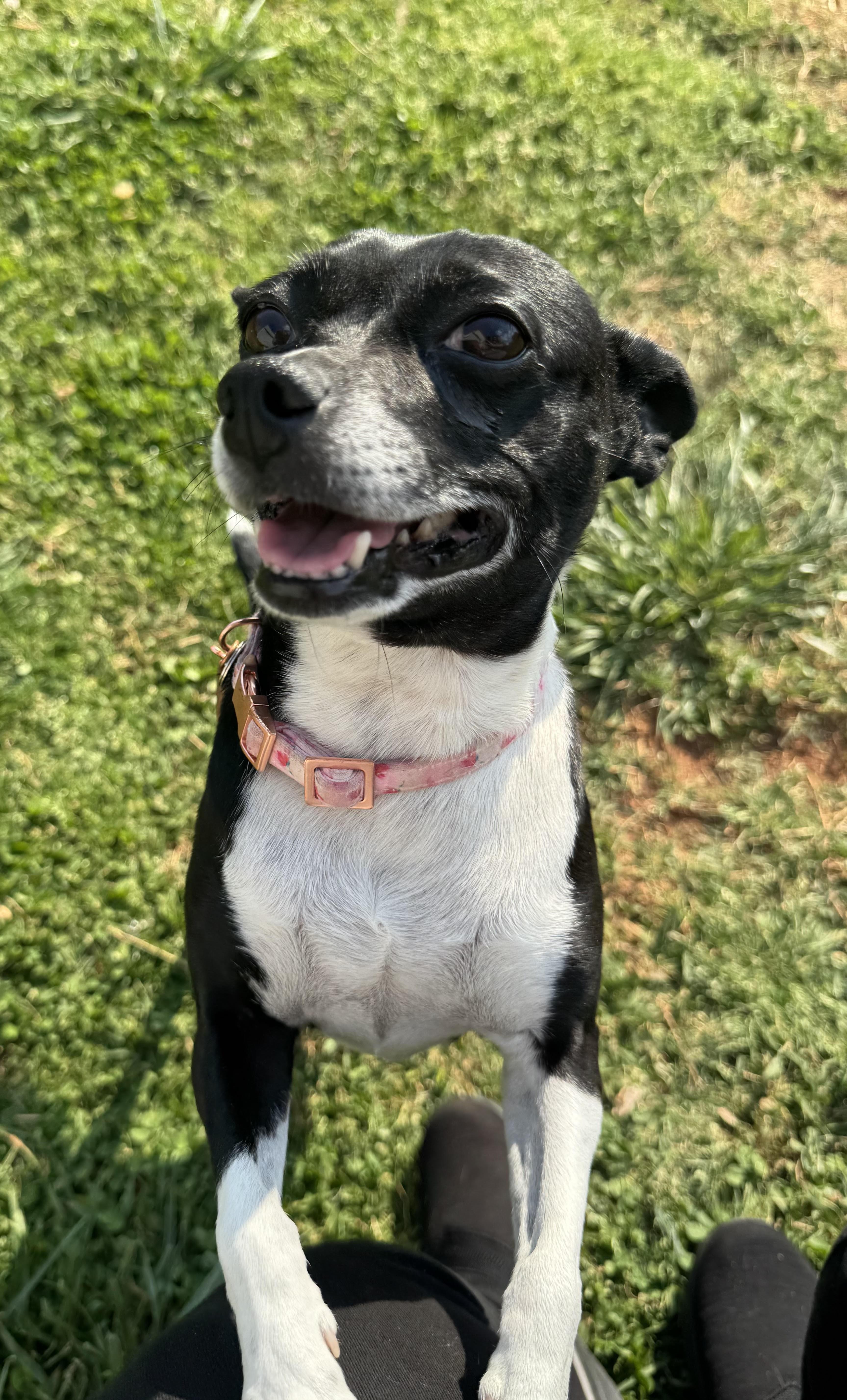 Kira & Jazz thumbnail 4