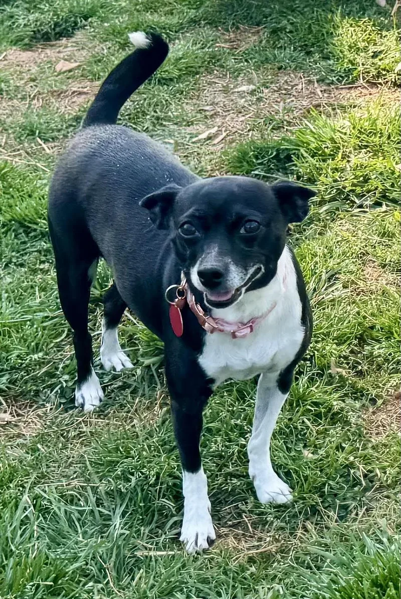 Kira & Jazz thumbnail 5