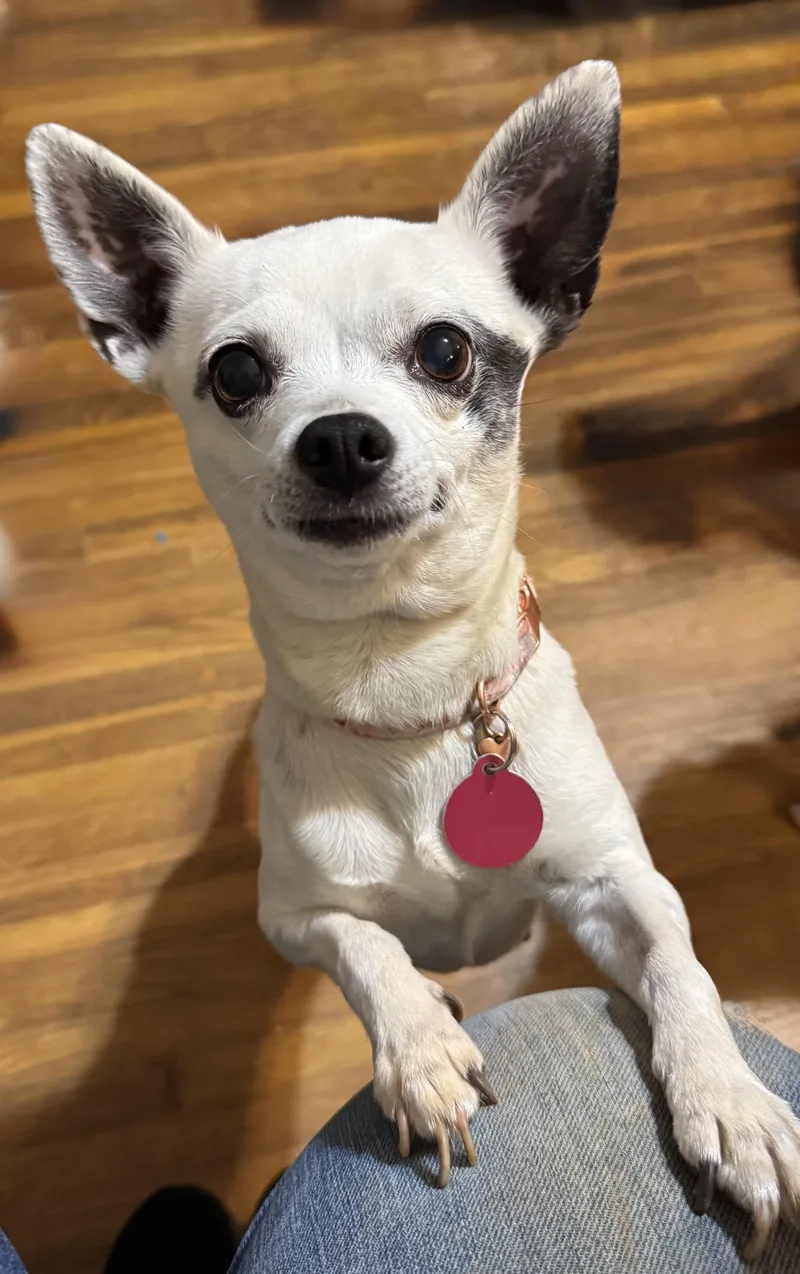 Kira & Jazz thumbnail 6