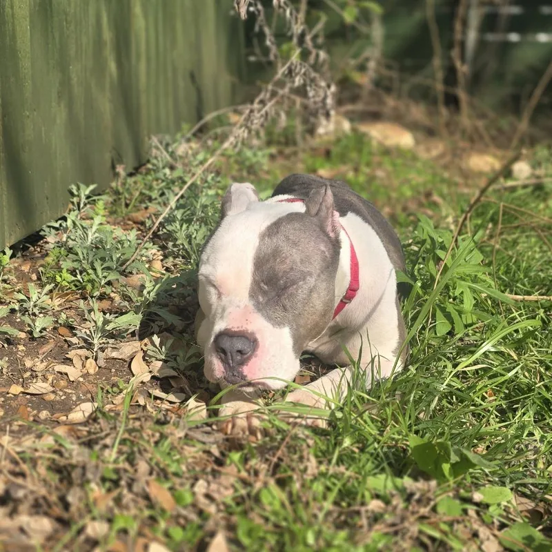 Darling Clementine thumbnail 5