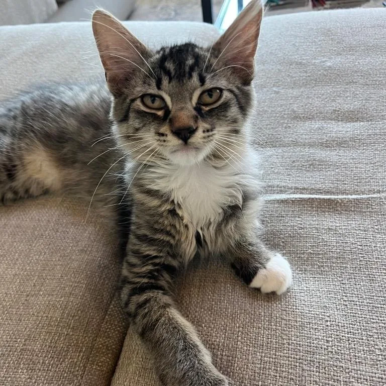 Jack