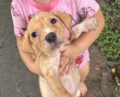 Caramel