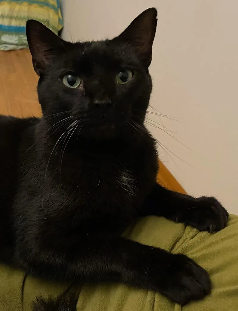 Sly & Sage thumbnail 2