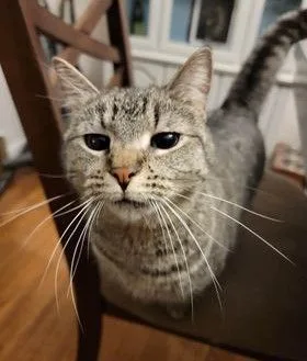 Sly & Sage thumbnail 3