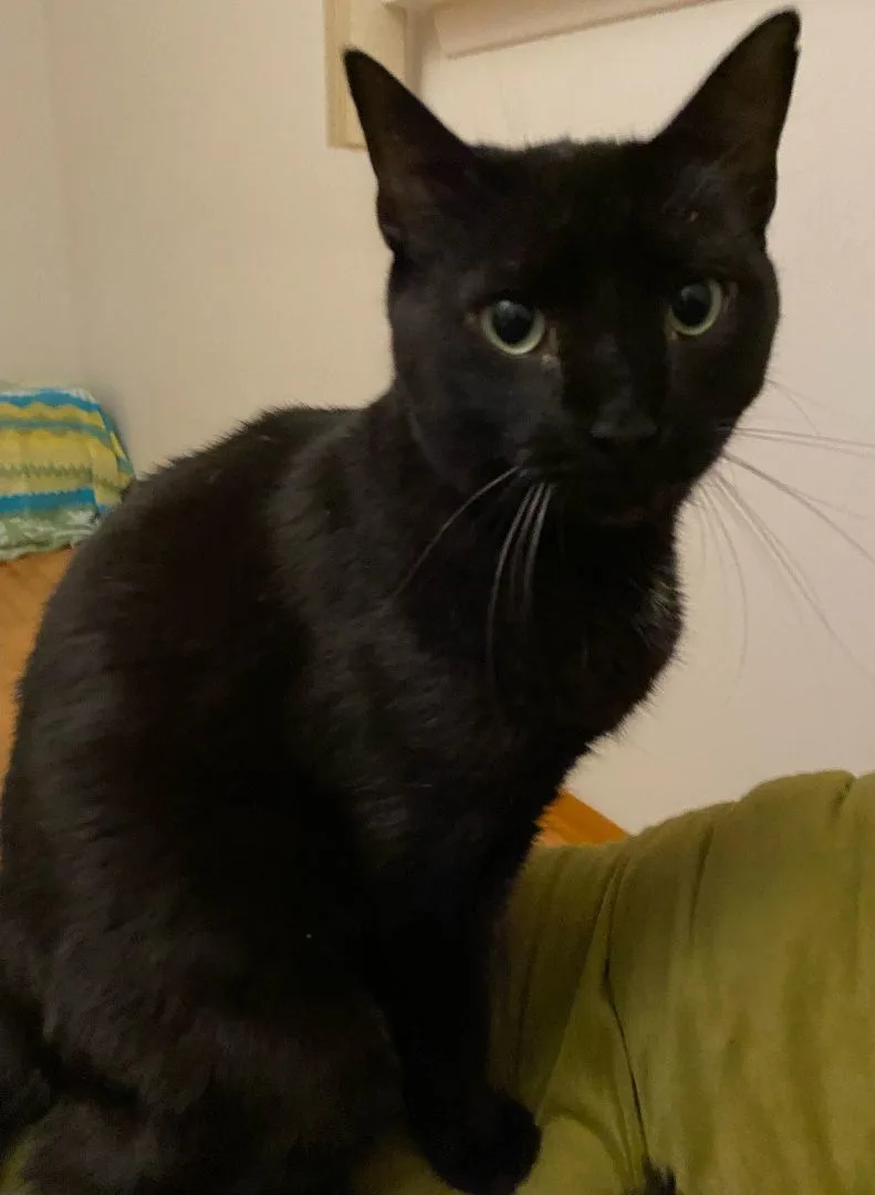 Sly & Sage thumbnail 4