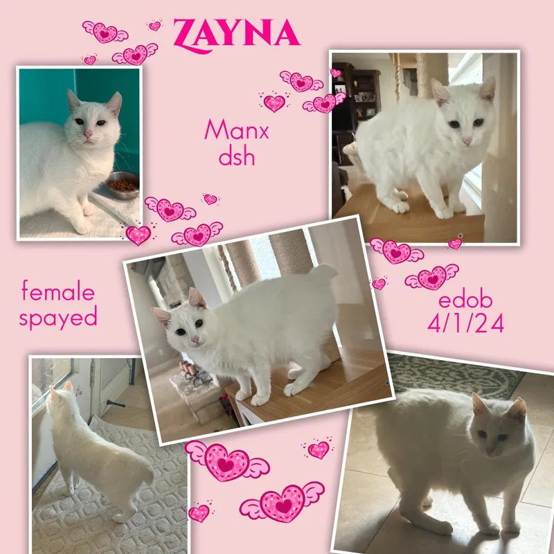 Zayna ORT thumbnail 6