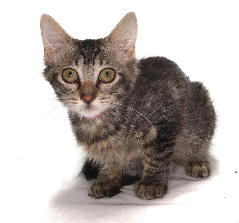 Sandra  Center thumbnail 3