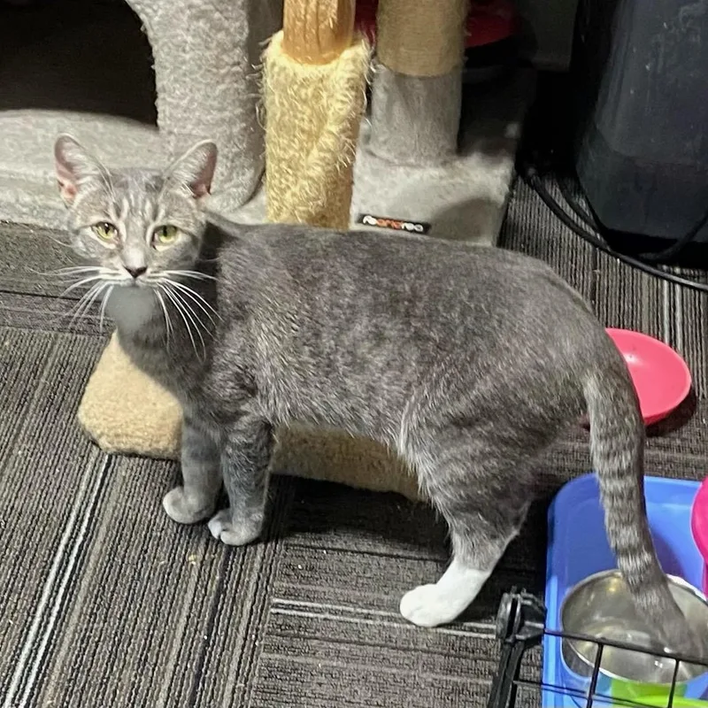 Cabbage Patch Kid thumbnail 2