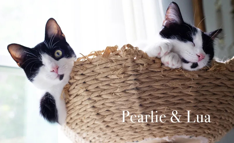 Pearlie and Lua thumbnail 2