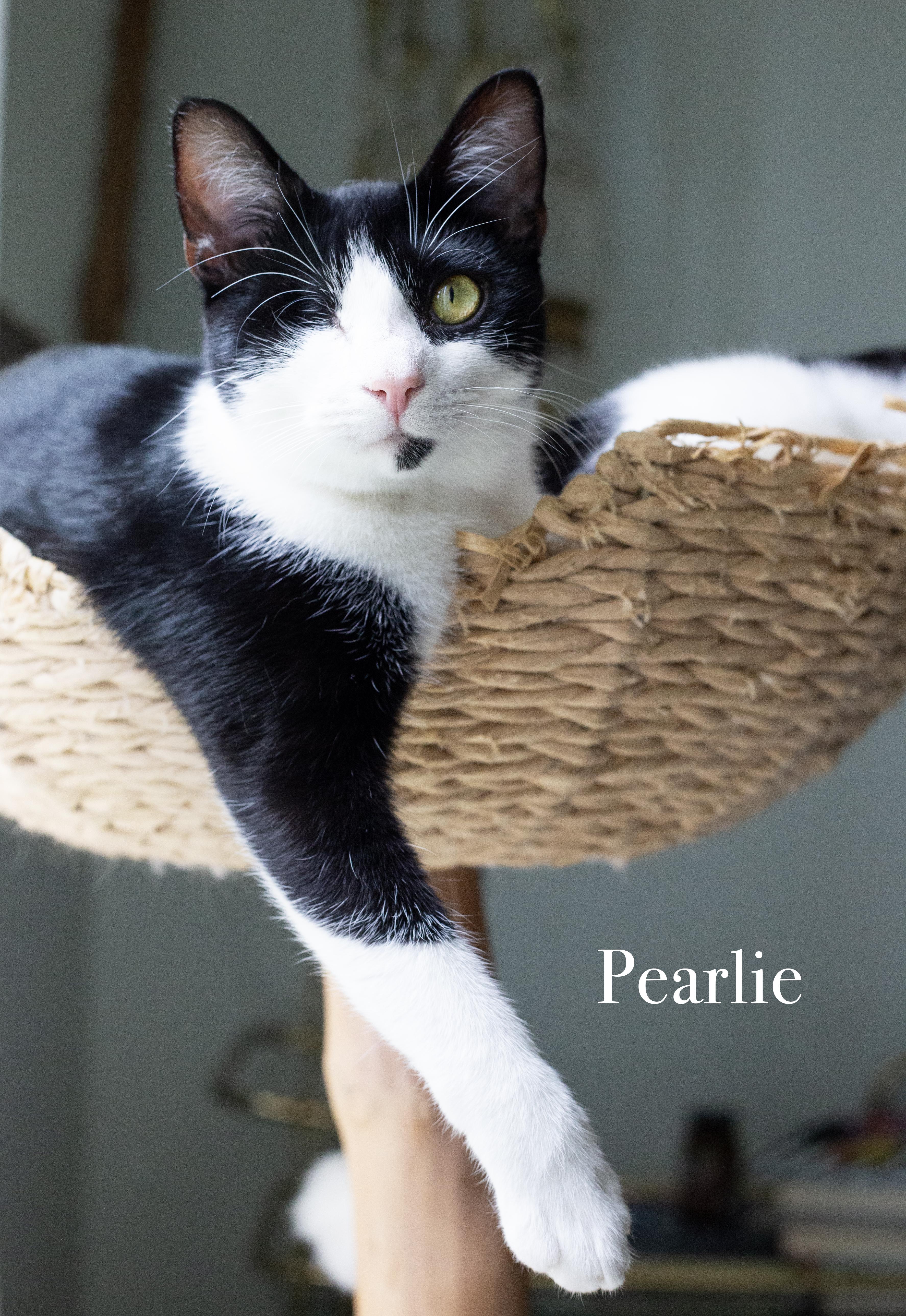 Pearlie and Lua thumbnail 3