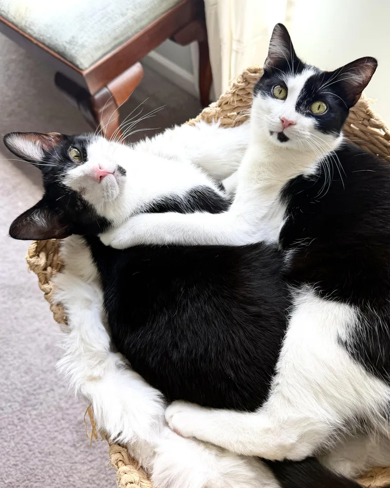 Pearlie and Lua thumbnail 5