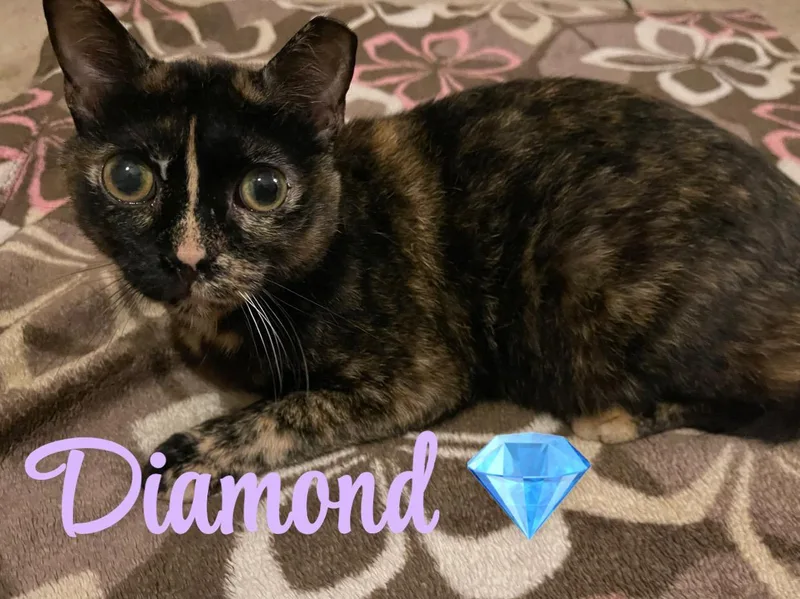 Diamond